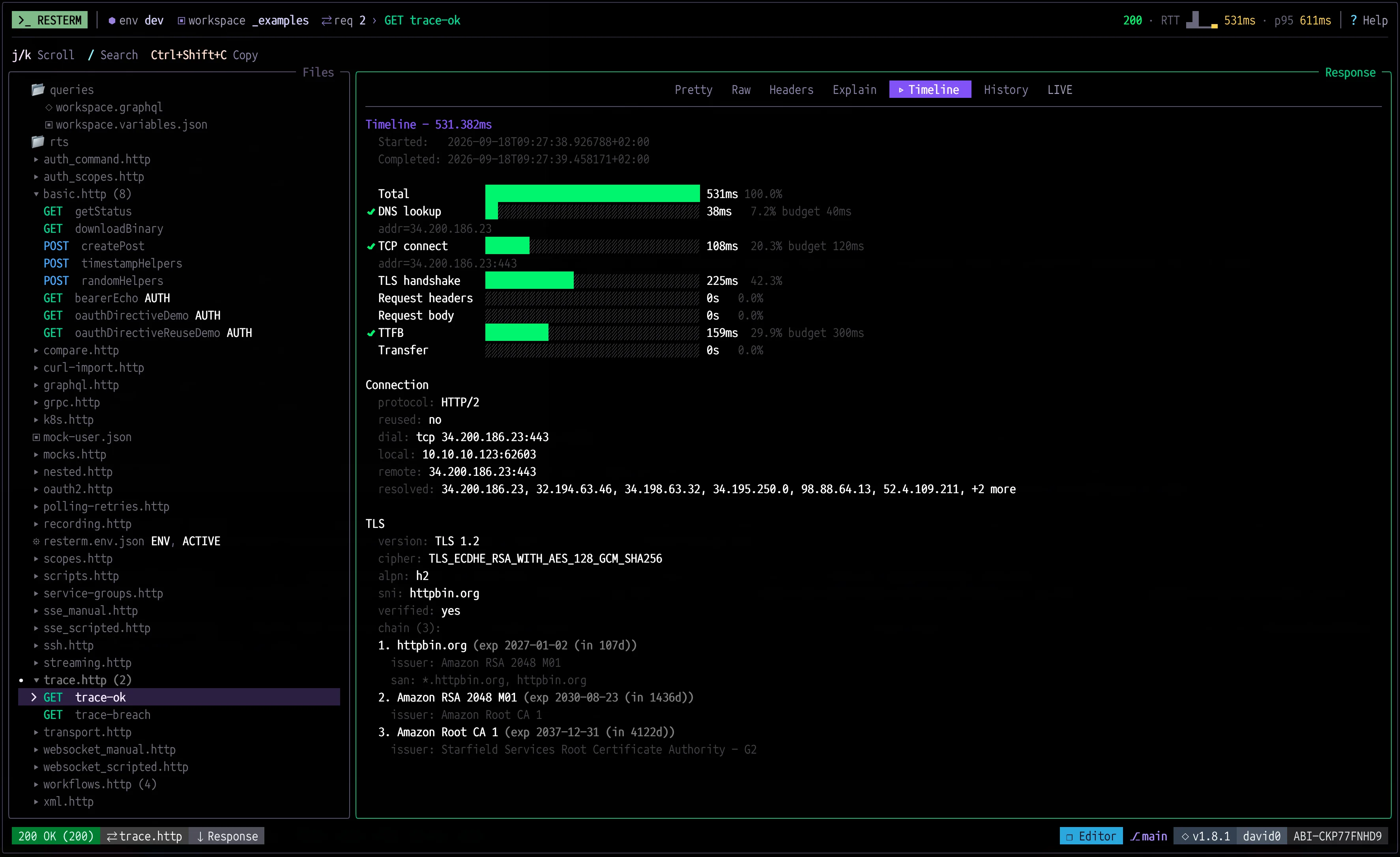 Trace timeline with DNS, connect, TLS and transfer phases